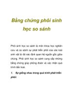 Bằng chứng phôi sinh học so sánh ppsx