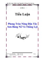 Tiểu Luận : Phong Trào Nông Dân Tây Sơn Bùng Nổ Và Thắng Lợi pot