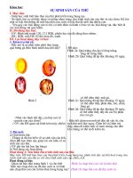 su sinh san cúa thu