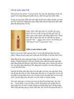 Cầu kỳ nước mắm Việt pdf