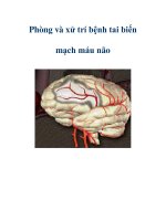 Phòng và xử trí bệnh tai biến mạch máu não potx