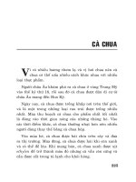 Dinh dưỡng và thực phẩm: Cà chua potx