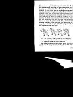 Huấn luyện bóng bàn hiện đại part 8 docx