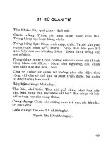 Cây hoa cây thuốc (Phần 5) pptx