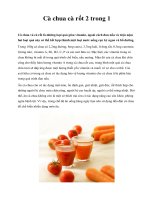 Cà chua cà rốt 2 trong 1 pptx