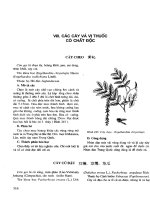Những cây thuốc và vị thuốc Việt Nam (Phần II-VIII) pdf