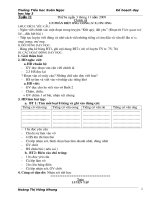 tuần 11 buổi hai lớp 3