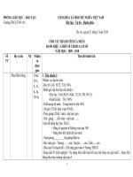 Tóm tắt thành tích 2010 (T.Hùng)