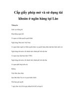 Cấp giấy phép mở và sử dụng tài khoản ở ngân hàng tại Lào docx