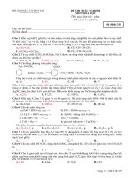 Đề&HD Hóa ĐH 2010 số 37