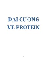 ĐẠI CƯƠNG VỀ PROTEIN pptx
