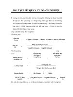 BÀI TẬP LỚN QUẢN LÝ DOANH NGHIỆP pptx