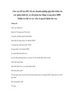 Cho vay hỗ trợ đối với các doanh nghiệp gặp khó khăn do suy giảm kinh tế, có cắt giảm lao động trong năm 2009: Thẩm tra hồ sơ vay vốn và quyết định cho vay pptx