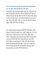 Các yếu tố ảnh hưởng đến việc phát triển thương hiệu của các ngân hàng thương mại Việt Nam pdf