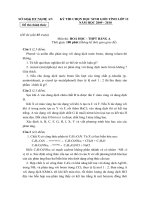 ĐỀ THI CHỌN HỌC SINH GIỎI TỈNH LỚP 12 NĂM HỌC 2009 - 2010 MÔN HÓA HỌC BẢNG A VÀ ĐÁP ÁN