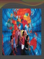 Ảnh hưởng của môi trường văn hoá đến hoạt động marketing của doanh nghiệp pdf