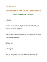 Kiến thức lớp 10 CÁCH LÀM BÀI VĂN THUYẾT MINH-thuyết minh về cây lúa nước potx