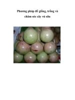 Phương pháp để giống, trồng và chăm sóc cây vú sữa ppt