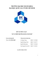 đề tài tiểu luận xử lí môi trường bằng enzyme