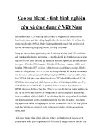 Cao su blend - tình hình nghiên cứu và ứng dụng ở Việt Nam pptx