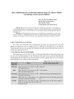 QUY TRÌNH QUẢN LÝ RỦI RO TRONG ĐẦU TƯ PHÁT TRIỂN CƠ SỞ HẠ TẦNG GIAO THÔNG doc