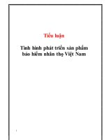 Tiểu luận tình hình phát triển sản phẩm bảo hiểm nhân thọ việt nam