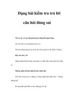 Dạng bài kiểm tra trả lời câu hỏi đúng sai pptx