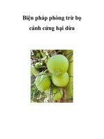 Biện pháp phòng trừ bọ cánh cứng hại dừa ppsx