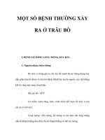MỘT SỐ BỆNH THƯỜNG XẨY RA Ở TRÂU BÒ pps