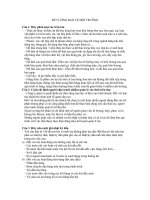 ĐỀ CƯƠNG BẢO VỆ MÔI TRƯỜNG docx