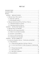 So sánh môi trường đầu tư trực tiếp Việt Nam và Thái Lan