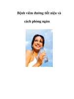 Bệnh viêm đường tiết niệu và cách phòng ngừa pptx