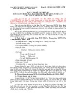 bao cao de an nhan su 2010