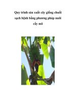 Quy trình sản xuất cây giống chuối sạch bệnh bằng phương pháp nuôi cấy mô ppt