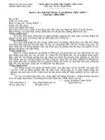 Bao cao thanh tich lao dong tien tien