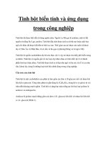 Tinh bột biến tính và ứng dụng trong công nghiệp ppt