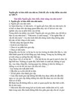 Nguồn gốc và bản chất của nhà nc potx