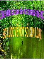 Seminar Hóa học - Sơ lược về một số kim loại pptx