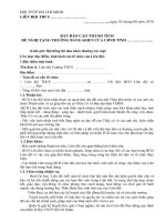 MẦU BÁO CÁO THÀNH TÍCH TẬP THỂ LĐ