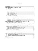 Kinh nghiệm vay nợ nước ngoài của một số quốc gia và bài học cho Việt Nam