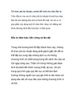 Tổ chức phi lợi nhuận, mảnh đất mới cho nhà đầu tư pps