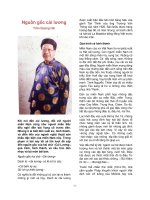 Nguồn gốc cải lương Việt Nam