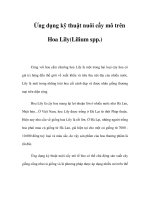Ứng dụng kỹ thuật (Lilium strồng bon sai, phương pháp trồng bon sai, cách nuôi bon sai,pp.) doc