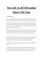 Sản xuất và chế biến quặng titan ở Việt Nam pot