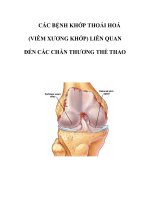 CÁC BỆNH KHỚP THOÁI HOÁ (VIÊM XƯƠNG KHỚP) LIÊN QUAN ĐẾN CÁC CHẤN THƯƠNG THỂ THAO docx