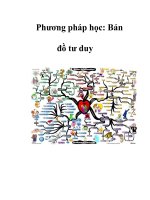 Phương pháp học: Bản đồ tư duy pdf