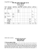 Đề thi học kì 2- có ma trận và đáp án