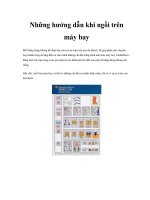 Những hướng dẫn khi ngồi trên máy bay pot