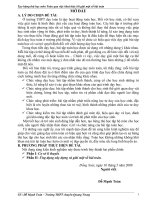 Sáng kiến kinh nghiệm: 