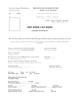 Mau hop dong lao dong ( Viet - Anh)